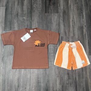 Zara Brown Graphic Tee